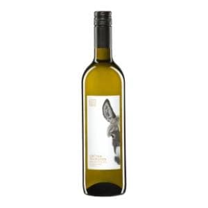 Belo vino LANDHAUS PAUL Gruner Veltliner 0,75l