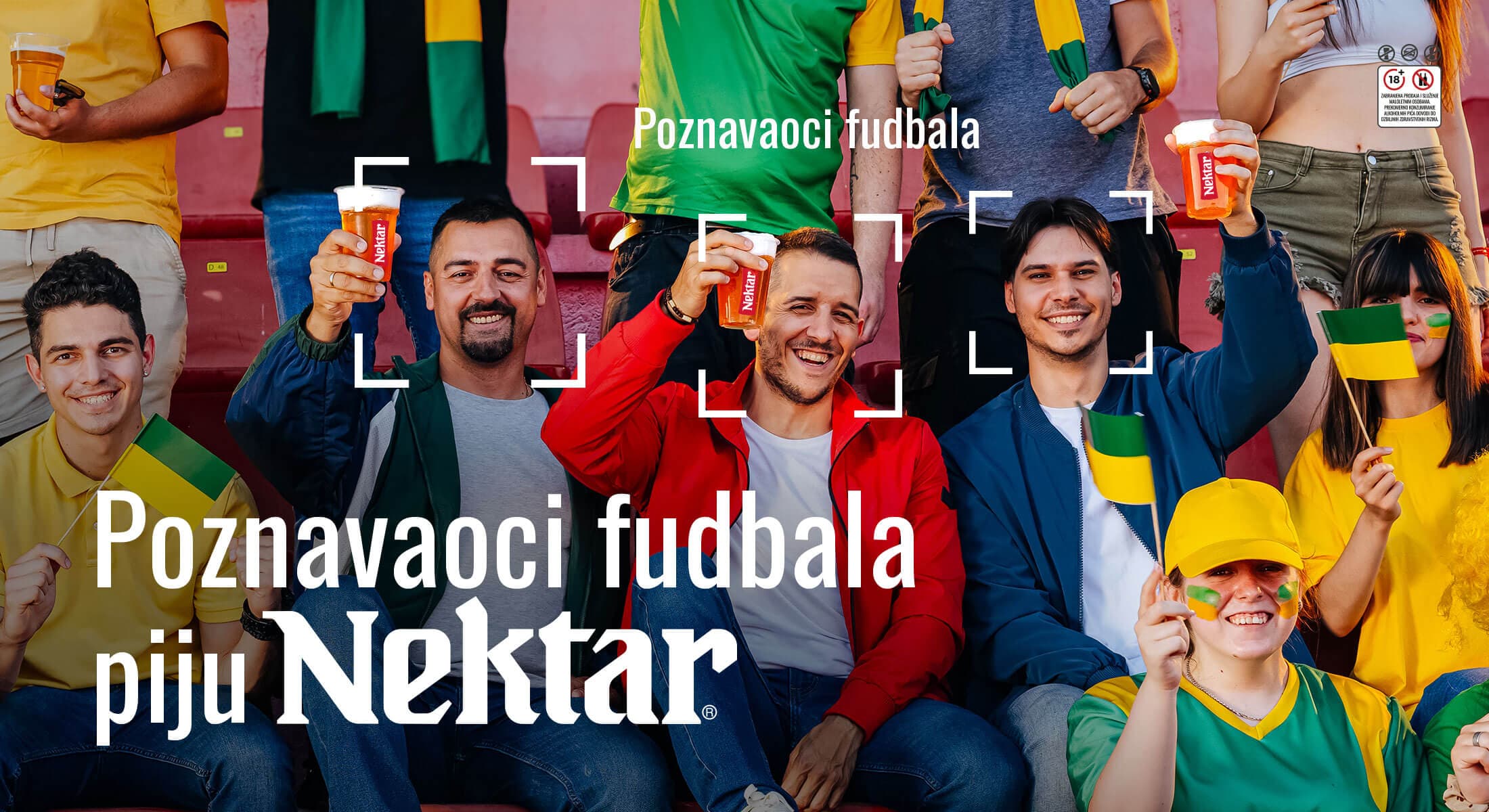 Nektar nefiltrirano pivo