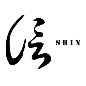 the-shin