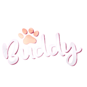 buddy
