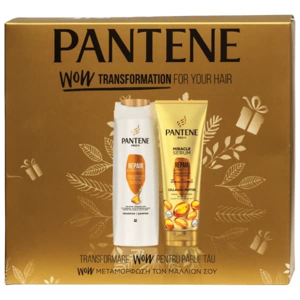 PANTENE set Repair & protect (šampon i regenerator za kosu) 0
