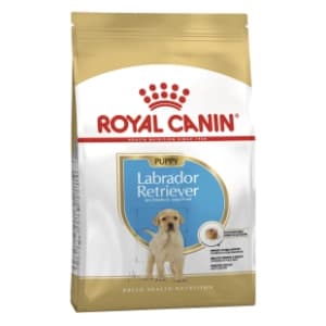 royal-canin-labrador-retriever-hrana-za-pse-12kg