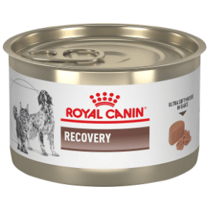 ROYAL CANIN  Recovery hrana za pse i mačke 195g slide slika