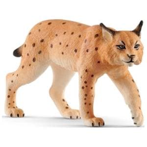 ris-schleich