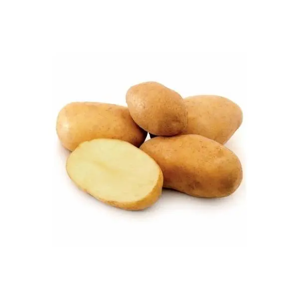 Krompir beli 1kg 0