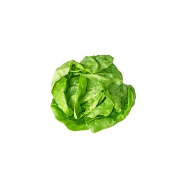 Zelena salata 1kg 0