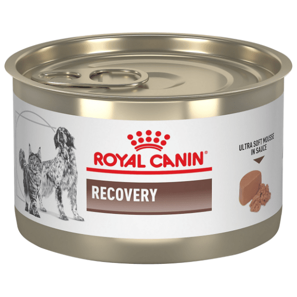 ROYAL CANIN Recovery hrana za pse i mačke 195g 0