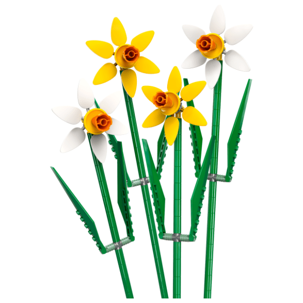 LEGO narcisi 40747 1