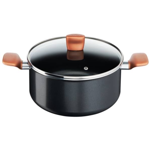 TEFAL ekspres lonac sa poklopcem B2554602 0
