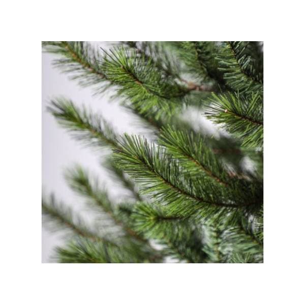 Novogodišnja jelka Cedar pine 240cm 1