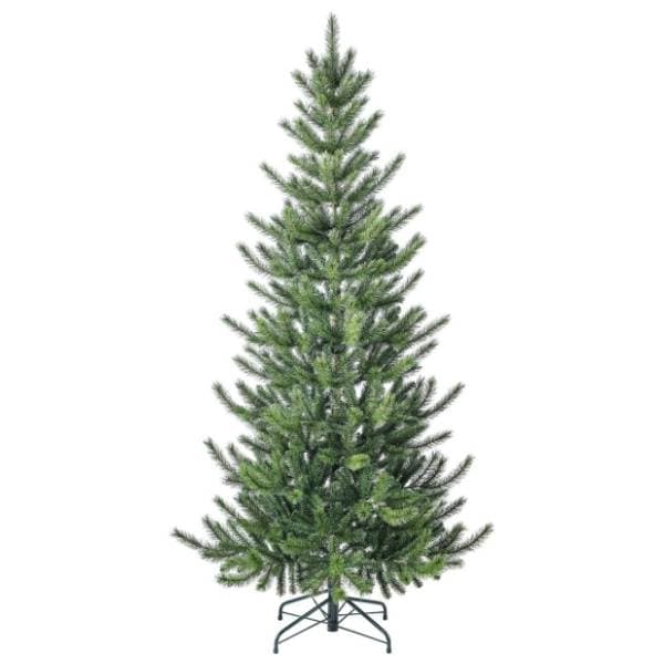 Novogodišnja jelka Cedar pine 240cm 0