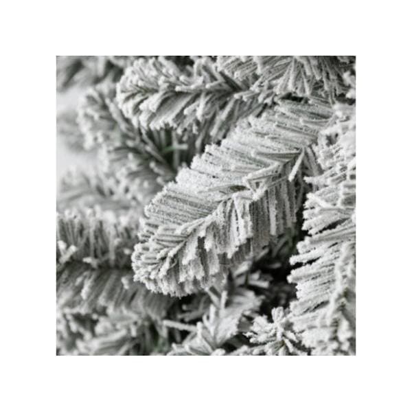 Novogodišnja jelka Snowy oxford pine 180cm 1