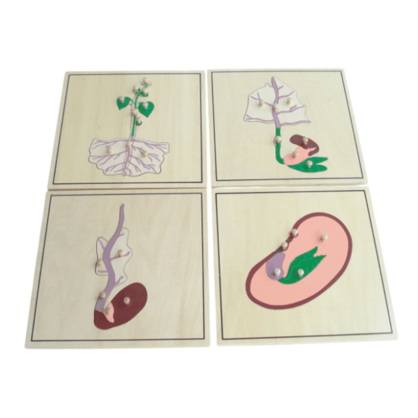 Botaničke puzzle MONTESSORI 0