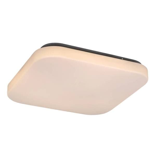 RABALUX plafonjera 20W Rob 3340 0