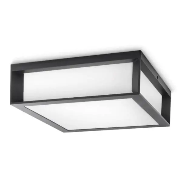 PHILIPS plafonjera 2x42W E27 26x26cm Skies PH066 1