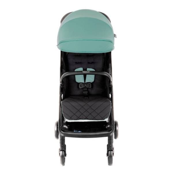 GRACO kolica za bebe Myavo mint 1