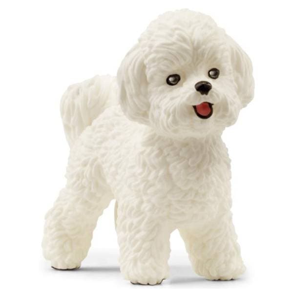 Figura Bishon Frize SCHLEICH 0