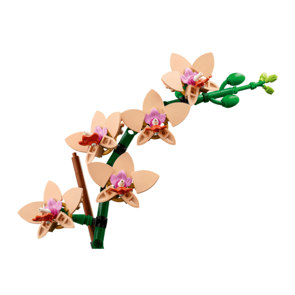 LEGO Botanical Collection mini orhideja 10343 2