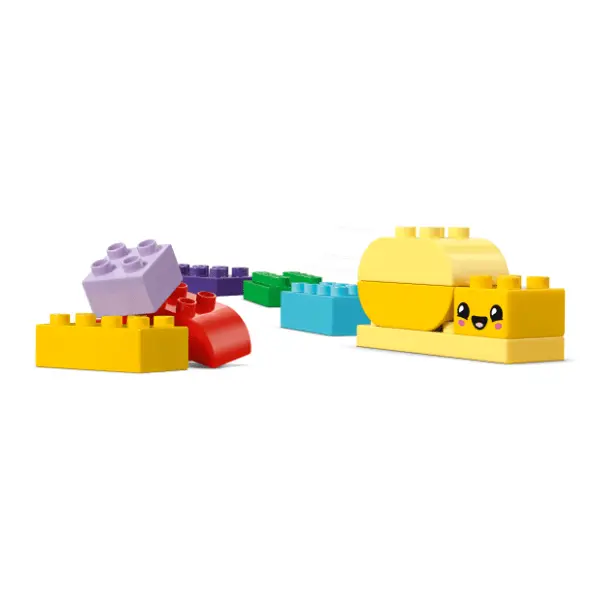 LEGO DUPLO kreativna bašta i cveće 10444 2