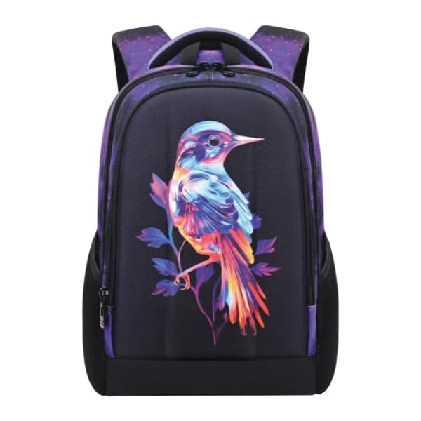 Ranac za školu ojačana leđa S-COOL Bird 0