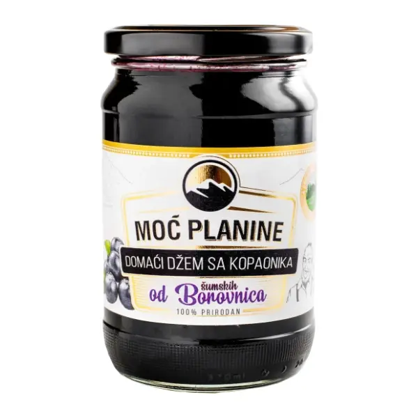 Džem MOĆ PLANINE divlja borovnica 420g 0