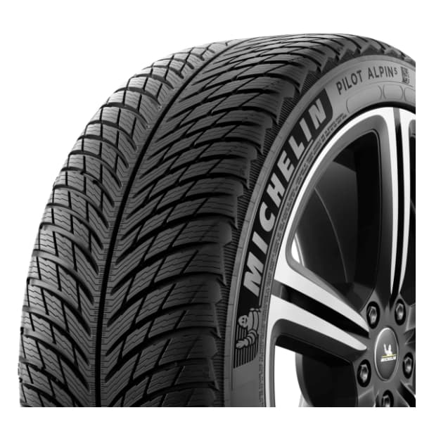 MICHELIN zimska guma Pilot Alpin 5 255/30 R19 91W XL MI 1