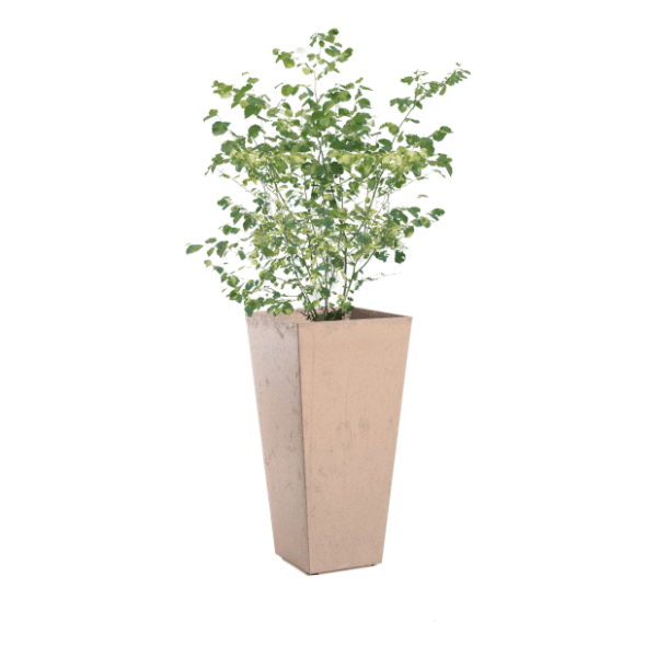Saksija MULTY HOME Sonata 70cm kapućino 0