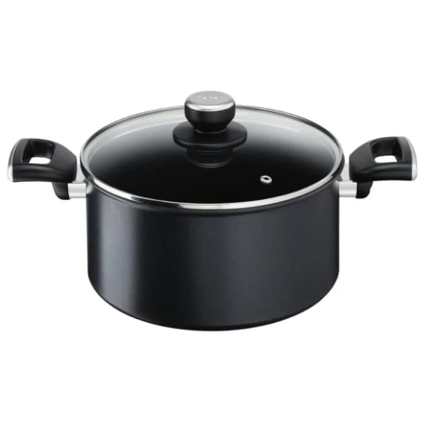TEFAL šerpa sa poklopcem 24cm P G2554672 0