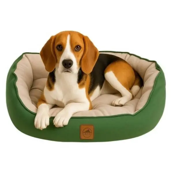 PAWS & WHISKERS Coco Summer krevet za ljubimce M zeleni 0