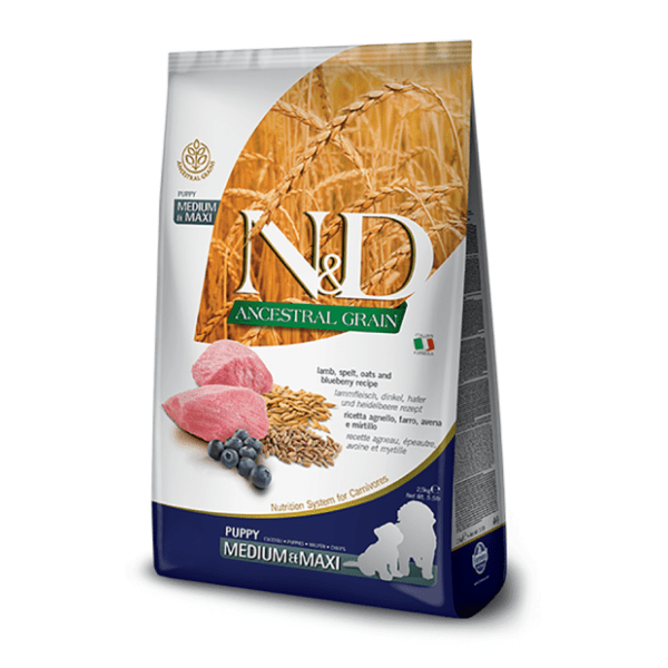 N&D Ancestral grain medium maxi puppy jagnjetina borovnica 12kg 0