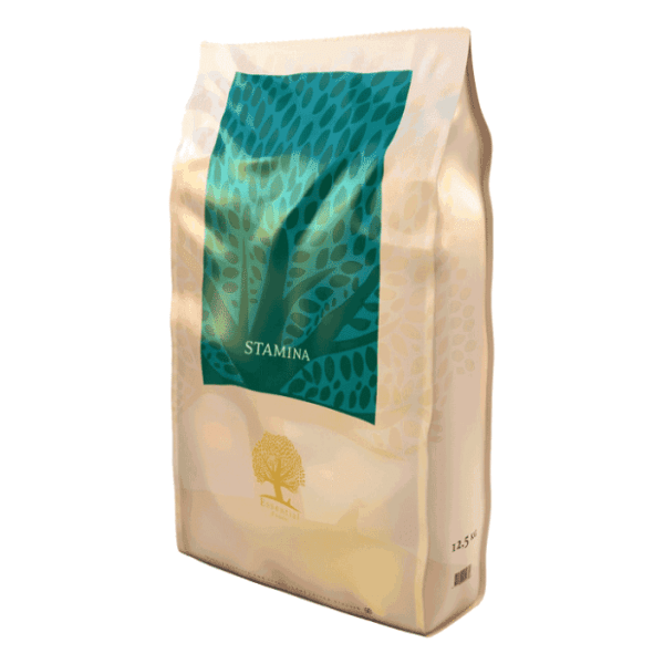 ESSENTIAL Stamina medium maxi adult hrana za pse 10kg 0