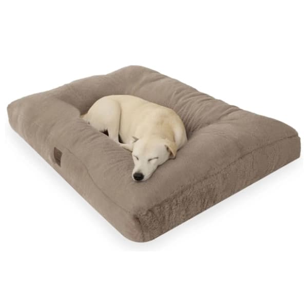 PAWS & WHISKERS Max Dog krevet za ljubimce 60x80 braon 0