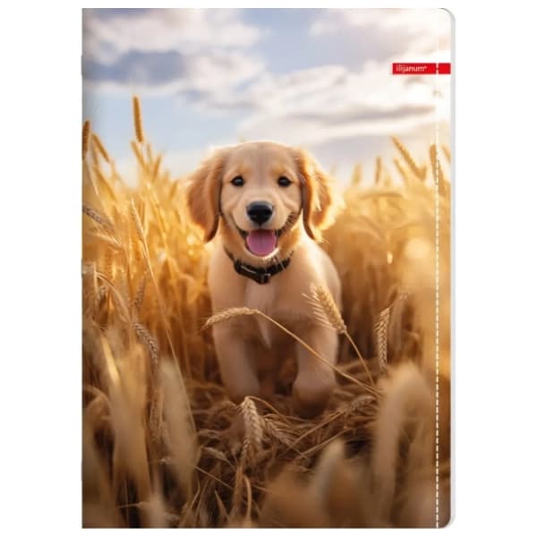 Sveska A4 dikto ILIJANUM Pets 52lista 1kom (više vrsta) 0