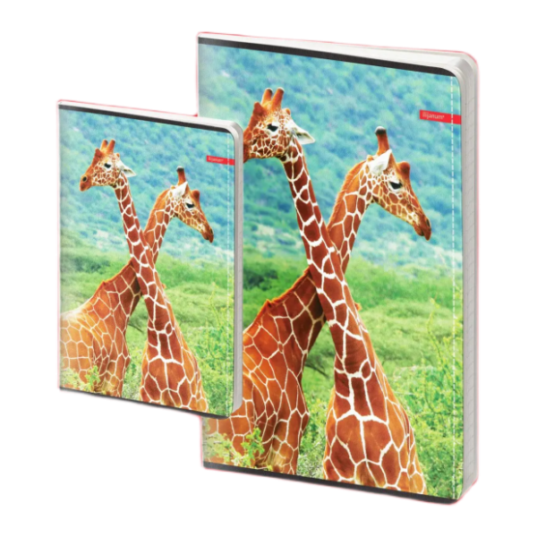 Sveska A4 karo ILIJANUM Wild animals 60lista 1kom 0