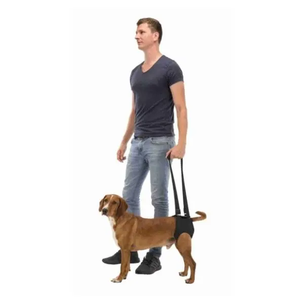 TRIXIE Dog walking aid pojas za pomoć pri kretanju L-XL 2