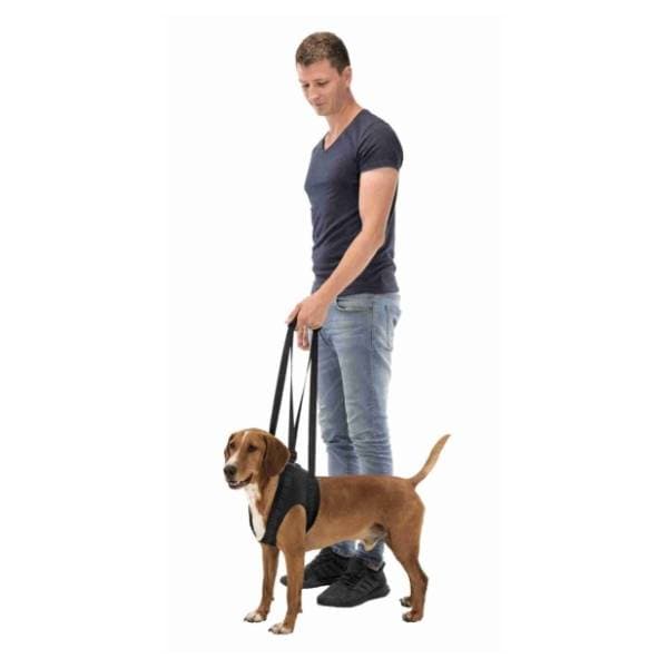 TRIXIE Dog walking aid pojas za pomoć pri kretanju M 1