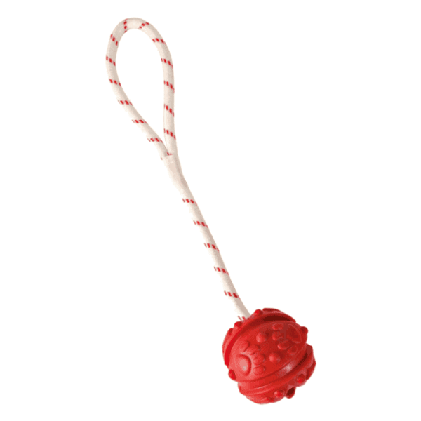 TRIXIE lopta sa ispupčenjima na kanapu 35cm 0