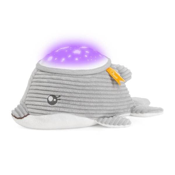 CHICCO projektor za uspavljivanje beba Delfin 0