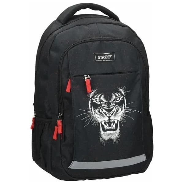 Ranac za školu STREET Alfa lion 2022 0