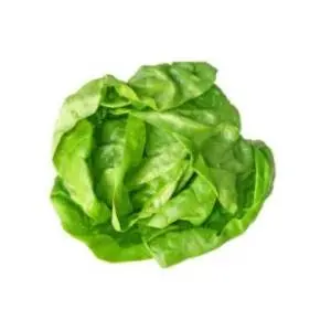 Zelena salata 1kg slide slika