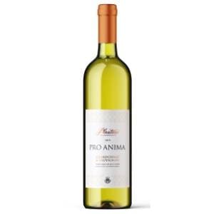 Belo vino PLANTAŽE Pro Anima Chardonnay & Sauvignon 0,75l