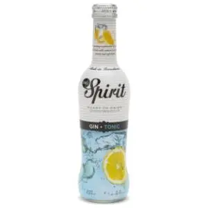 Koktel MG SPIRIT Gin tonic 275ml slide slika