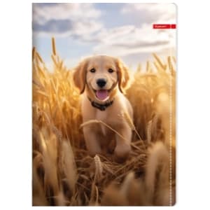Sveska A4 dikto ILIJANUM Pets 52lista 1kom (više vrsta) slide slika
