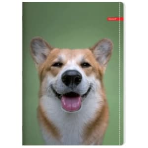 Sveska A4 karo ILIJANUM pets 52lista 1kom slide slika